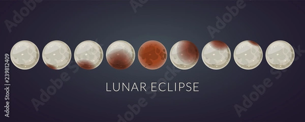 Obraz All phases of a total lunar eclipse, astronomical phenomenon.