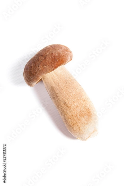 Fototapeta Pojedynczy borowik znany jako borowik szlachetny izolowany na białym tle.