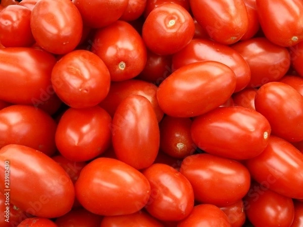 Obraz longitudinal red tomatoes lima