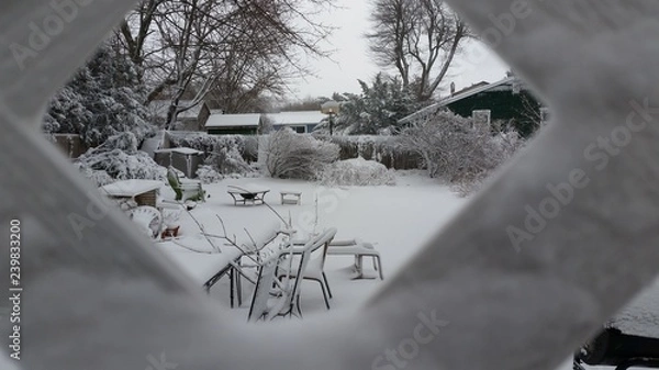 Fototapeta Winter snow yard
