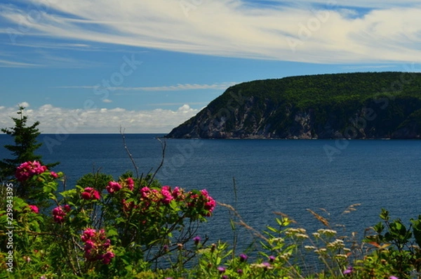 Obraz view of the island