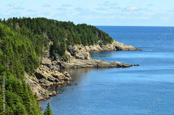 Obraz Rocky coastline