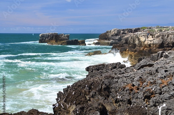 Obraz coast of the sea