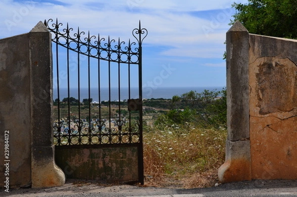 Obraz old iron gate