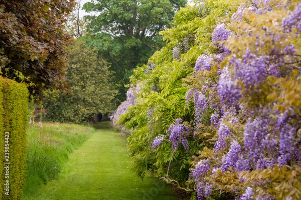 Obraz Beautiful garden  at Knole