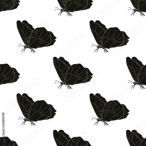 Fototapeta Black butterflies seamless vector pattern