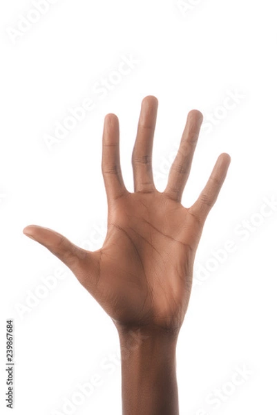 Fototapeta partial view of african american man showing number 5 in sign language isolated on white