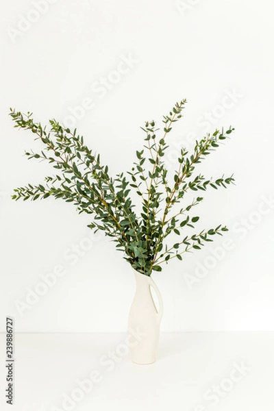 Fototapeta Branches of eucalyptus in vase on table on light background. Home decor. Blog, website or social media concept .
