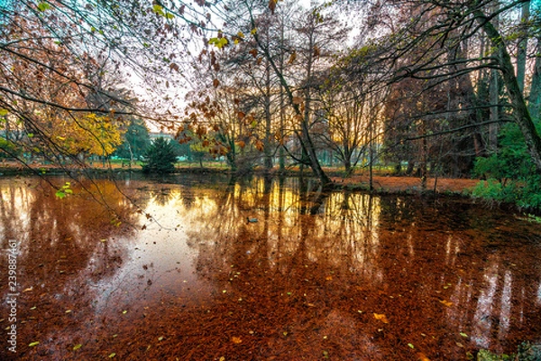 Fototapeta parque em Milão