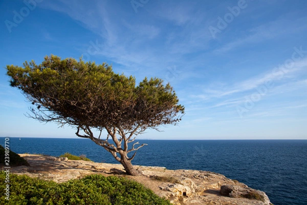 Obraz An der Cala Pi