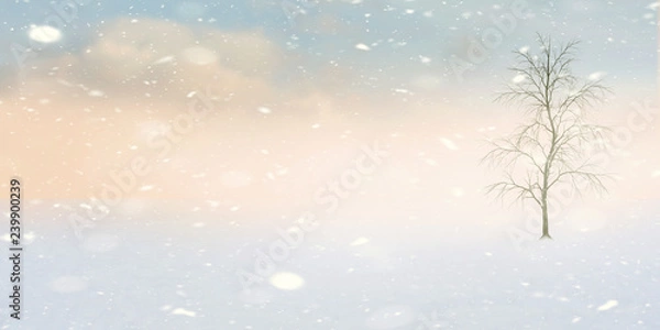 Obraz Beautiful winter landscape