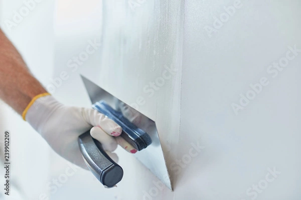 Fototapeta Home Painter