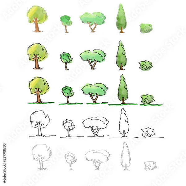 Obraz tree scribbles