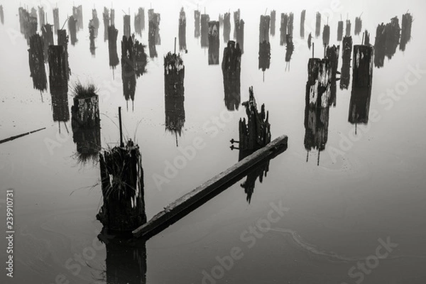Obraz Old Wharf on the Willapa No. 1, Raymond, Washington, 2018