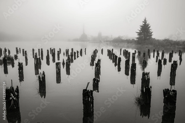 Obraz Old Wharf on the Willapa No. 2, Raymond, Washington, 2018