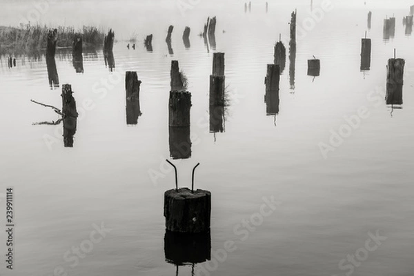 Obraz Old Wharf on the Willapa No. 9, Raymond, Washington, 2018