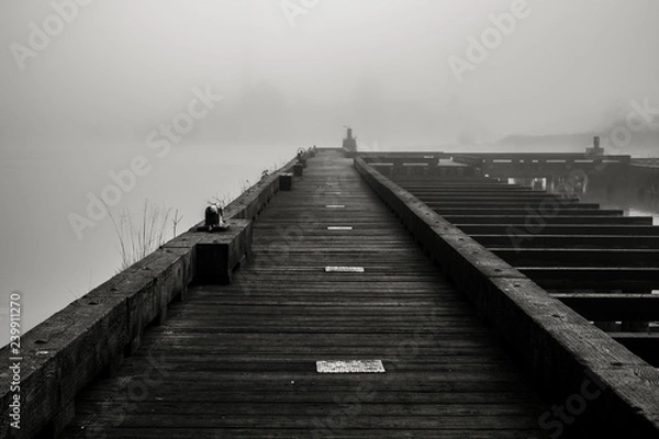 Obraz Old Wharf on the Willapa No. 13, Raymond, Washington, 2018