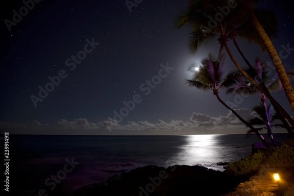 Fototapeta Moonlight Starry Night Ocean