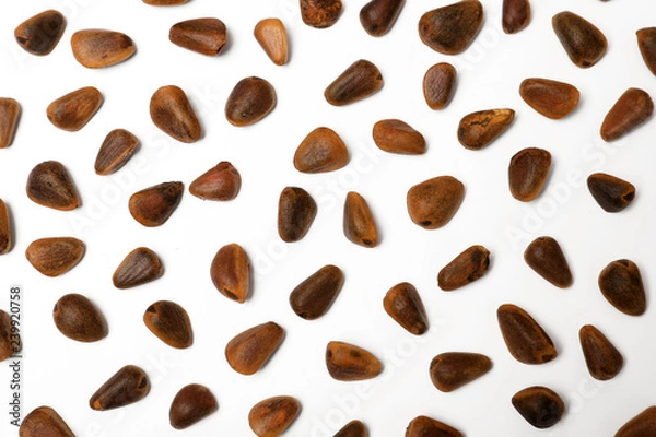 Fototapeta Composition with pine nuts on white background, top view