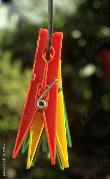 Obraz clothes pegs