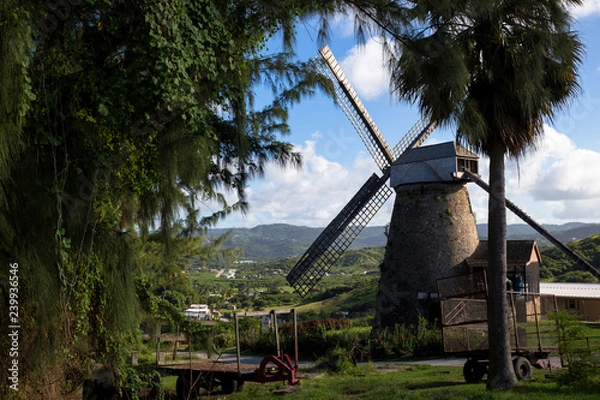 Fototapeta windmill in barbados