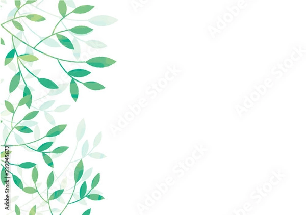 Fototapeta 新緑の背景素材