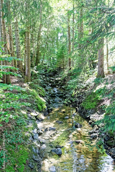 Obraz Bach am Walchensee