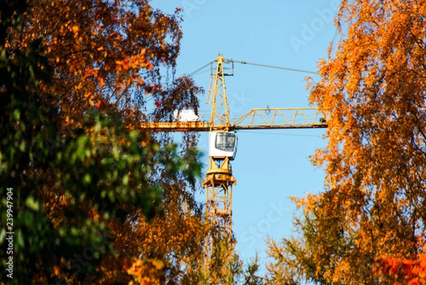 Fototapeta Yellow construction crane among autumn trees