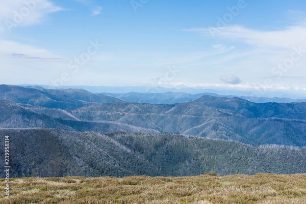 Obraz Australia Alpine NP