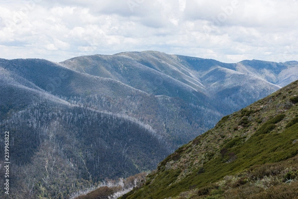 Obraz Australia Alpine NP