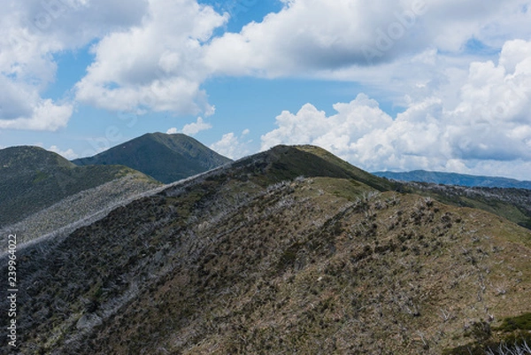 Obraz Australia Alpine NP