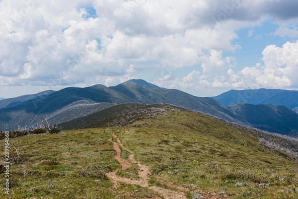 Obraz Australia Alpine NP