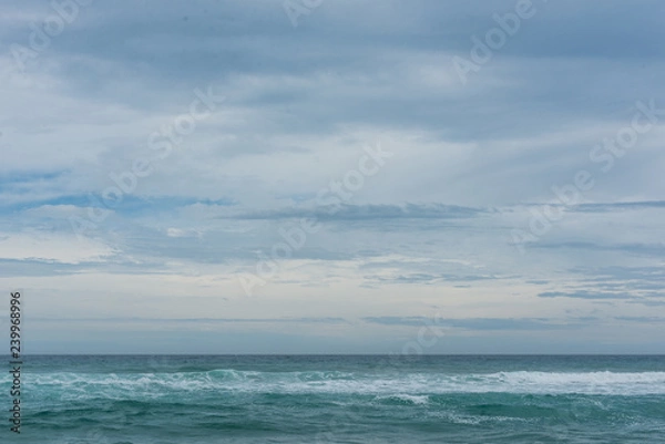 Obraz Australia Alpine NP