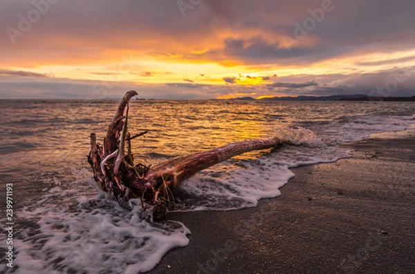 Obraz sunset on the beach