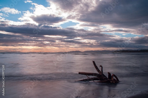 Fototapeta sunset on the beach