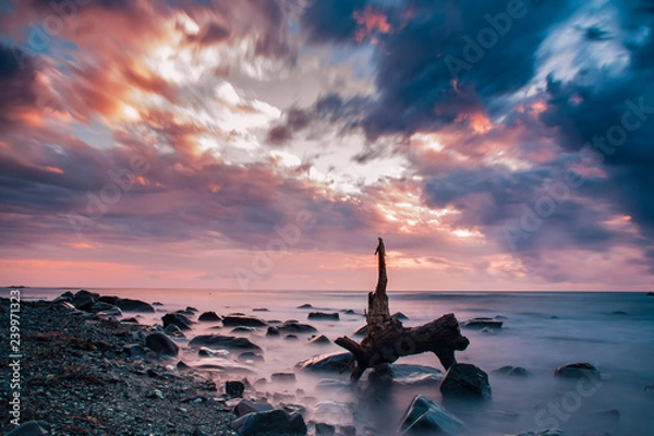 Fototapeta sunset on the beach