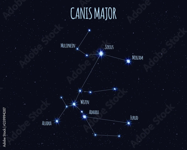 Obraz Canis Major (The Great Dog) constellation, vector illustration with the names of basic stars against the starry sky