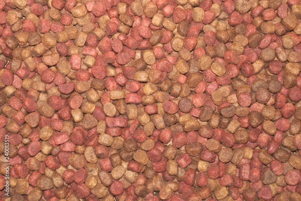 Fototapeta Multicolored dry pet food close up, background image