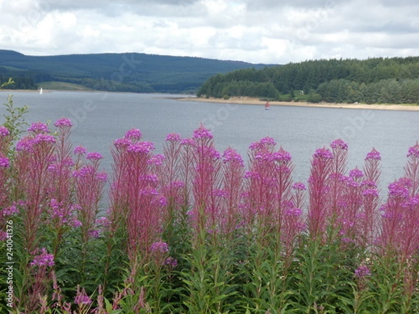 Fototapeta Kielder 2018