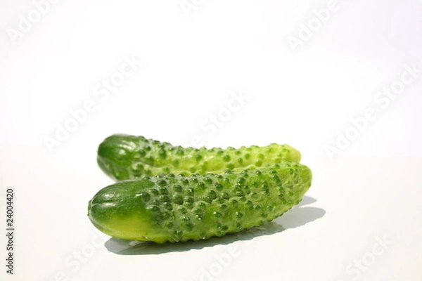 Fototapeta two cucumbers