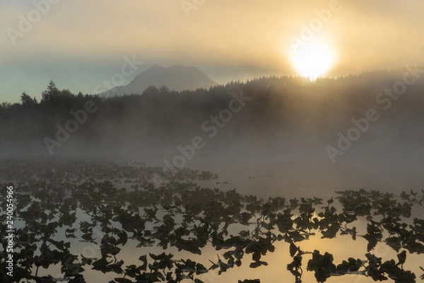 Obraz Sunrise over Lake