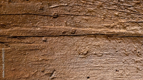 Obraz Wood Texture