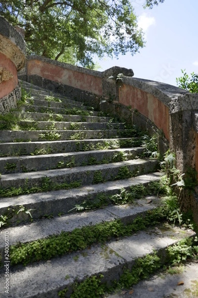 Obraz Jungle Stairs