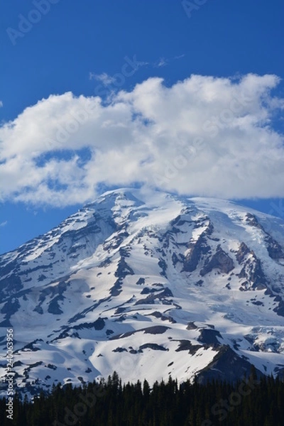 Fototapeta Rainier and Olympic Mountains