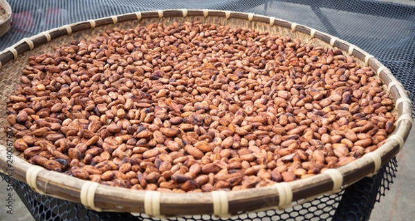 Fototapeta Cocoa beans through fermentation and drying process ready. Useful can be processed. Drinks, condiments, cosmetics It is a plant that is grown around the world.