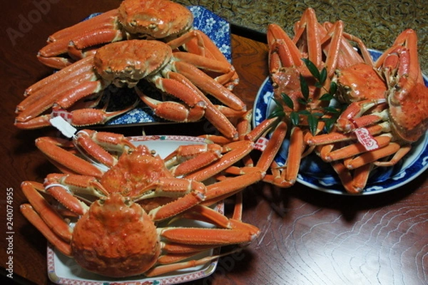 Obraz 松葉ガニ
