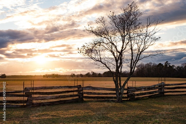 Obraz winter sunset on lone tree