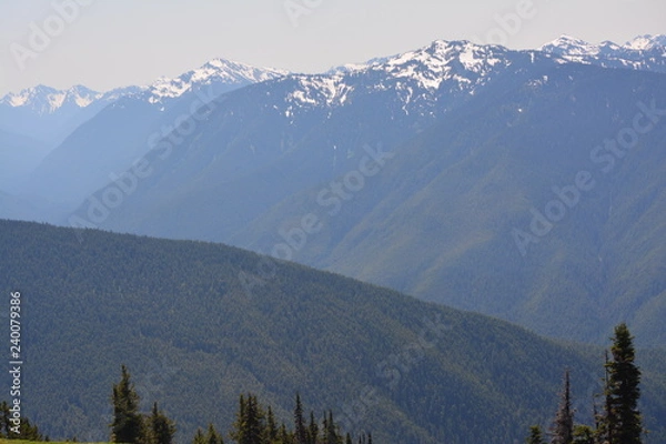 Obraz Olympic National Park