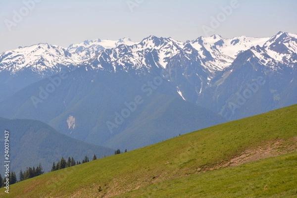Obraz Olympic National Park