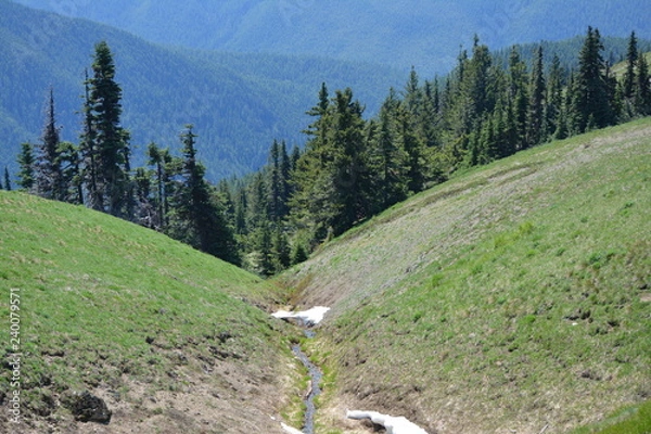 Obraz Olympic National Park